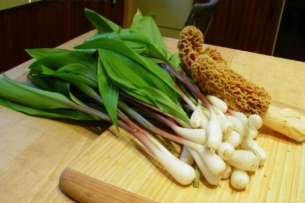 Кракен активная ссылка