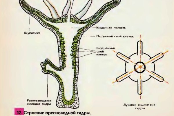Кракен почему не заходит