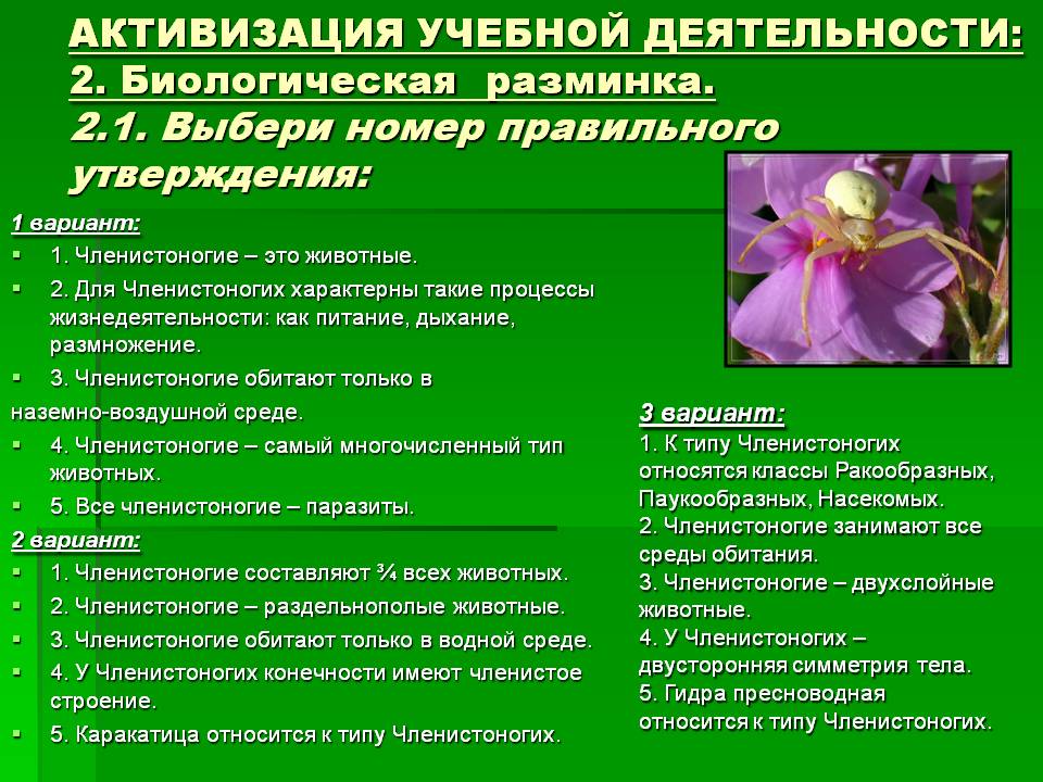 Кракен ссылка онлайн
